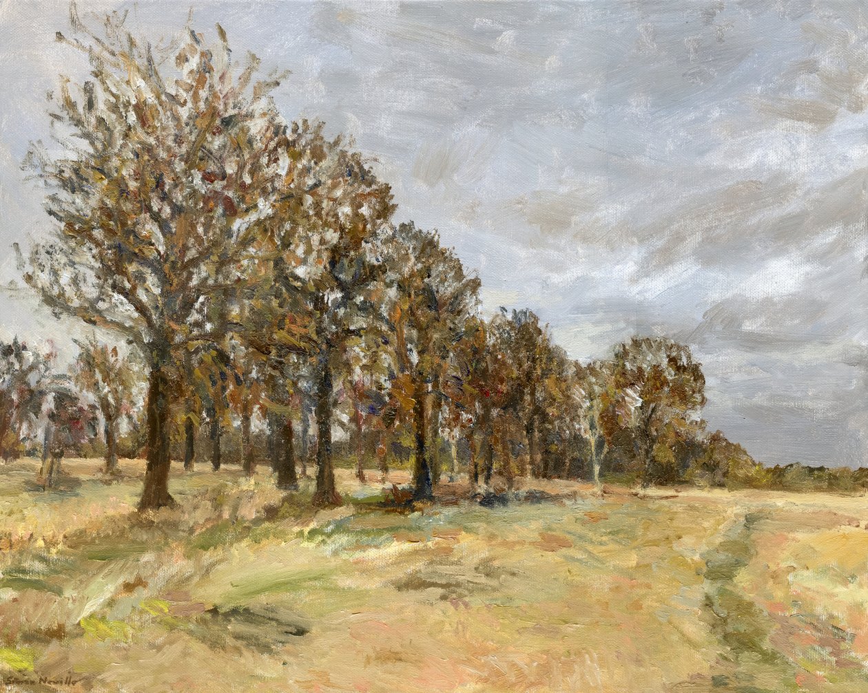 Wald, Richmond Park Nr. 6, 2022 von Simon Neville