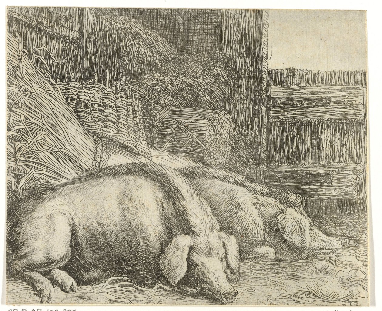 Zwei Schweine von Simon de Vlieger
