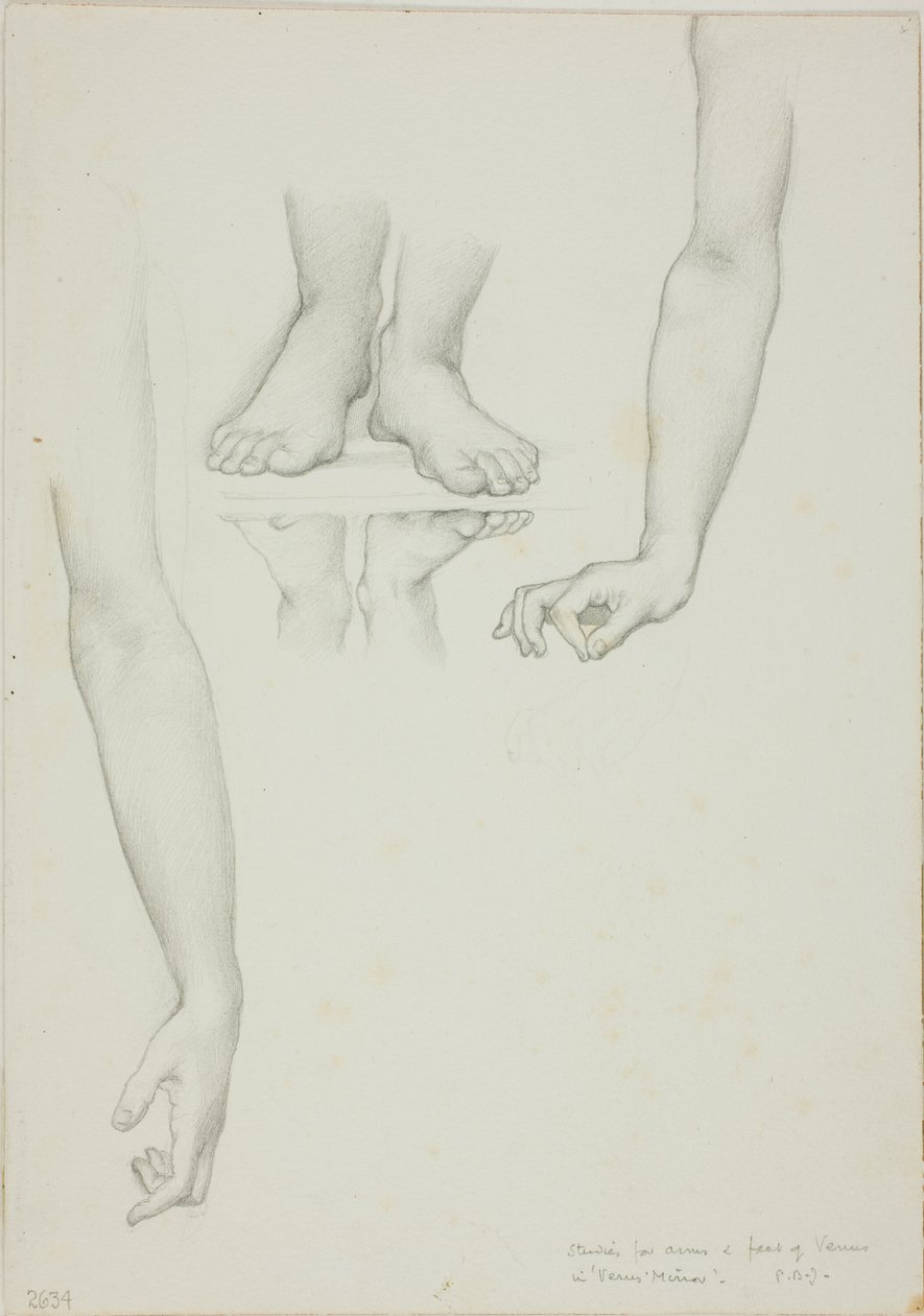 Studie für Spiegel der Venus: Arme und Füße der Venus von Sir Edward Burne Jones