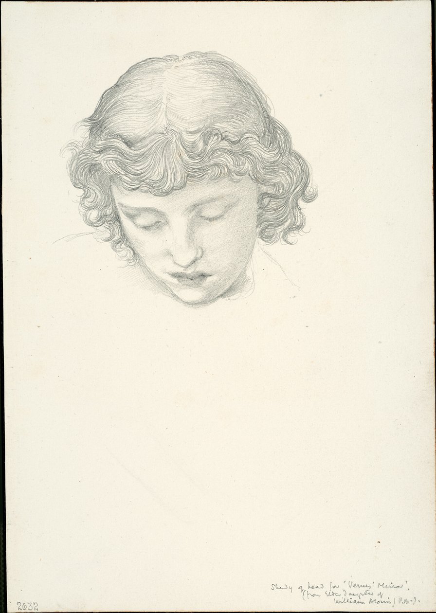 Studie für Spiegel der Venus: Kopf von Sir Edward Burne Jones