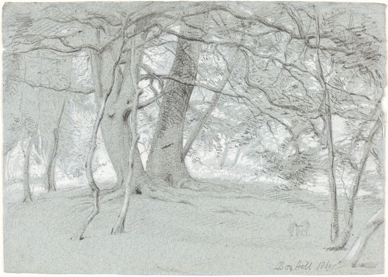 Bäume am Box Hill von Sir William Blake Richmond