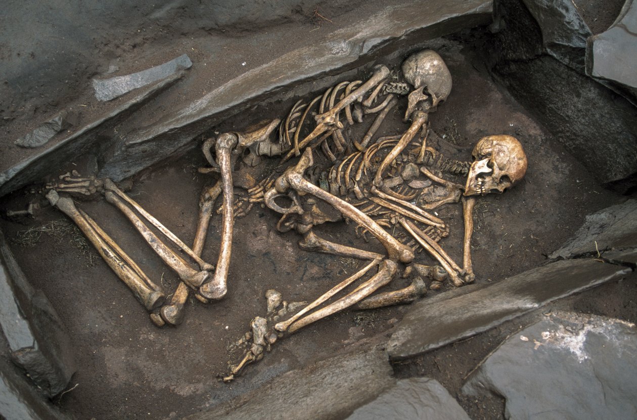 Die Knochen von zwei Skythen liegen in einem 3000 Jahre alten Grab bei Arzhan-2. (2003) von Sisse Brimberg