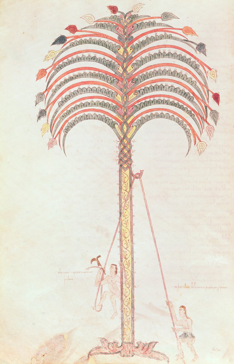 Fol.147v Die Metapher der Palme, aus dem Girona Beatus von Spanish School