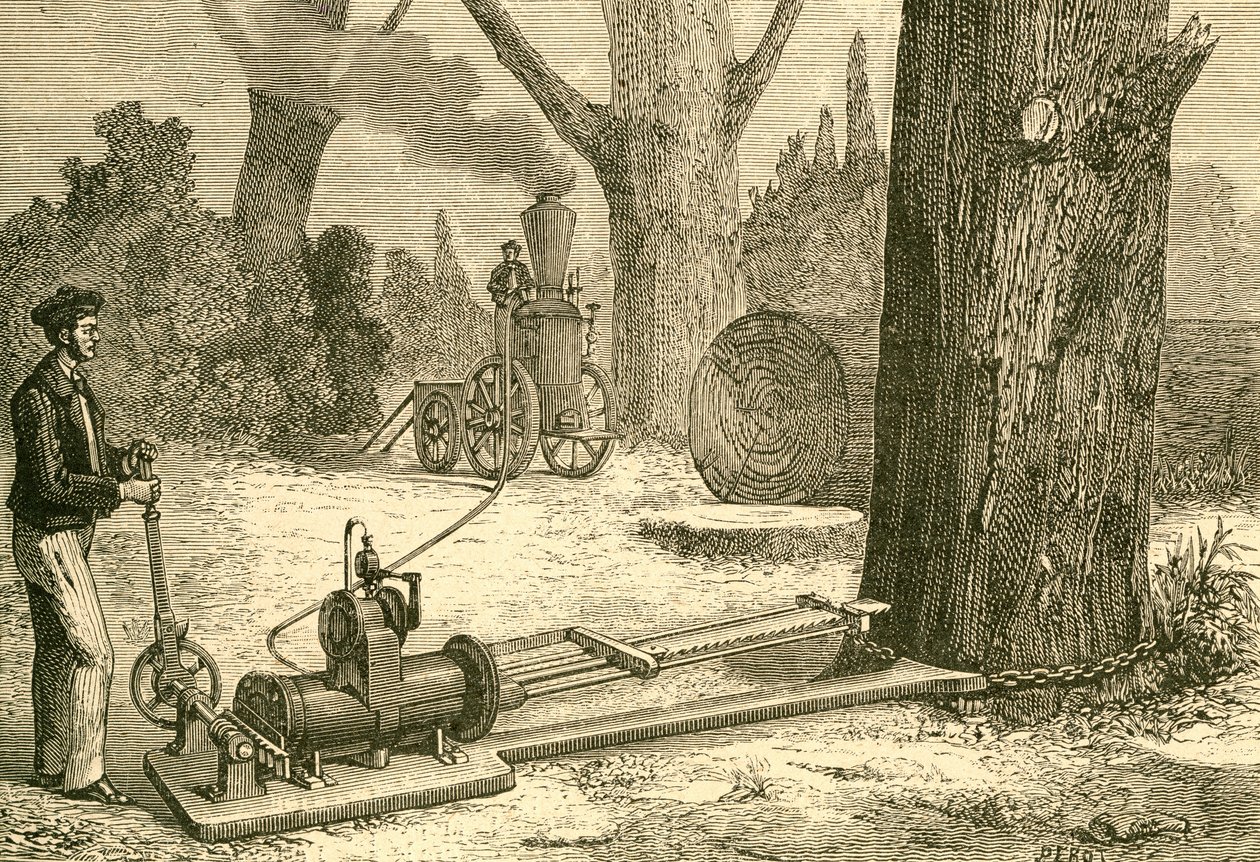 Bäume fällen mit Dampfsägen im späten 19. Jahrhundert. Aus El Museo Popular, veröffentlicht in Madrid von Spanish School
