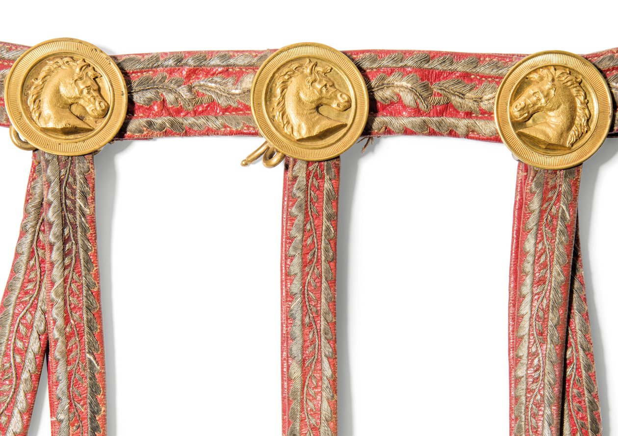 Detail von der Sabretache von Joseph-Napoleon Bonaparte, König von Spanien, vor 1813 von Spanish School