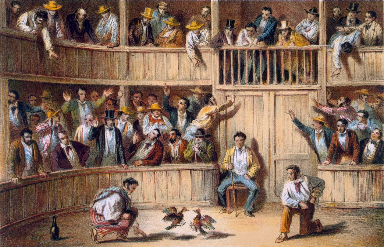 Valla de Gallos, Kuba von Spanish School