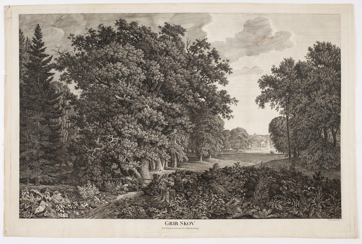 Grib Skov mit Blick über den Esrum-See nach Fredensborg von Søren Henrik Petersen