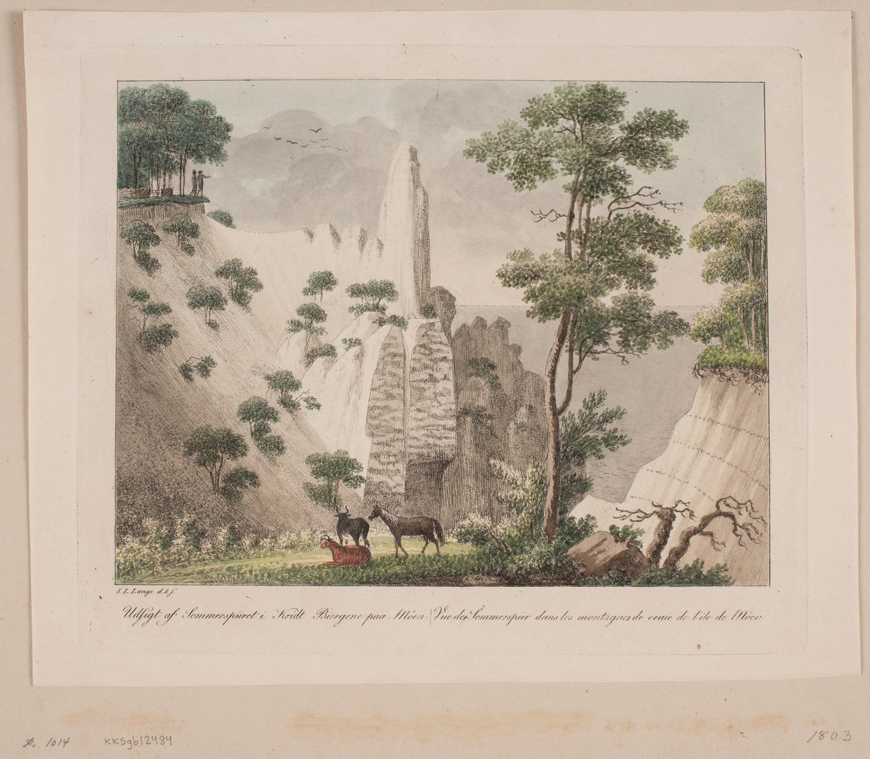 Aussicht vom Sommerspiret in den Kreidefelsen auf Møn von Søren L. Lange