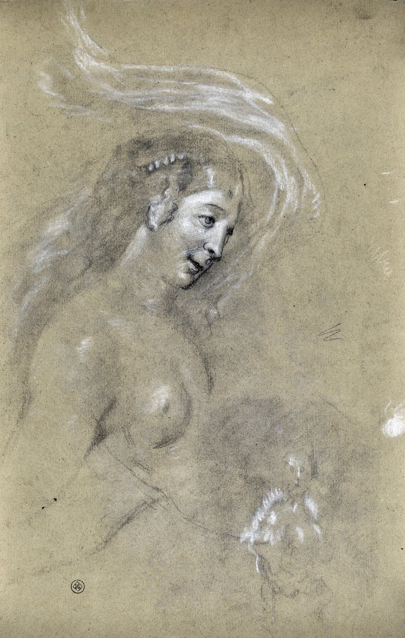 Studie eines Frauenprofils (Zeichnung) von Stanislas Torrents y de Amat