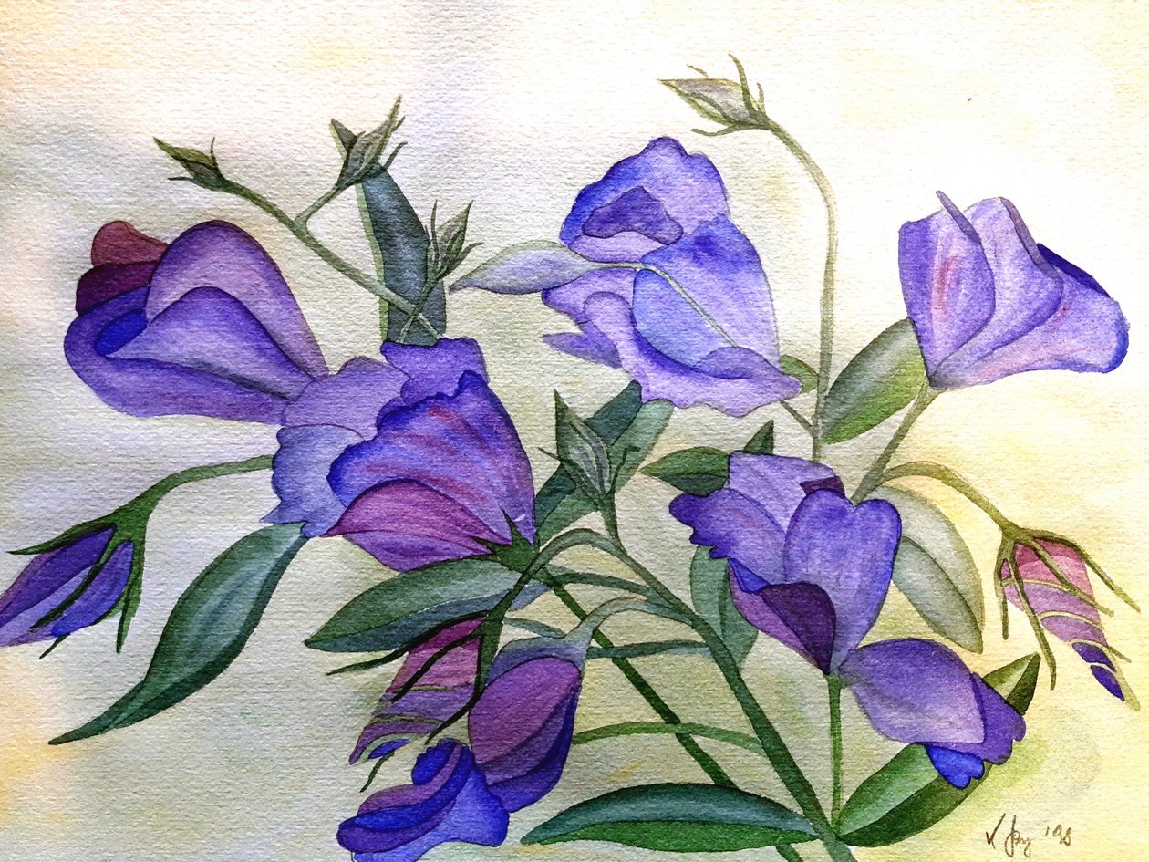 Lila Blumen von Steegs-Art Karin