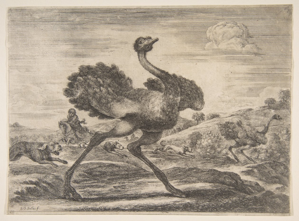 Straußenjagd, aus Tierjagden, ca. 1654 von Stefano della Bella
