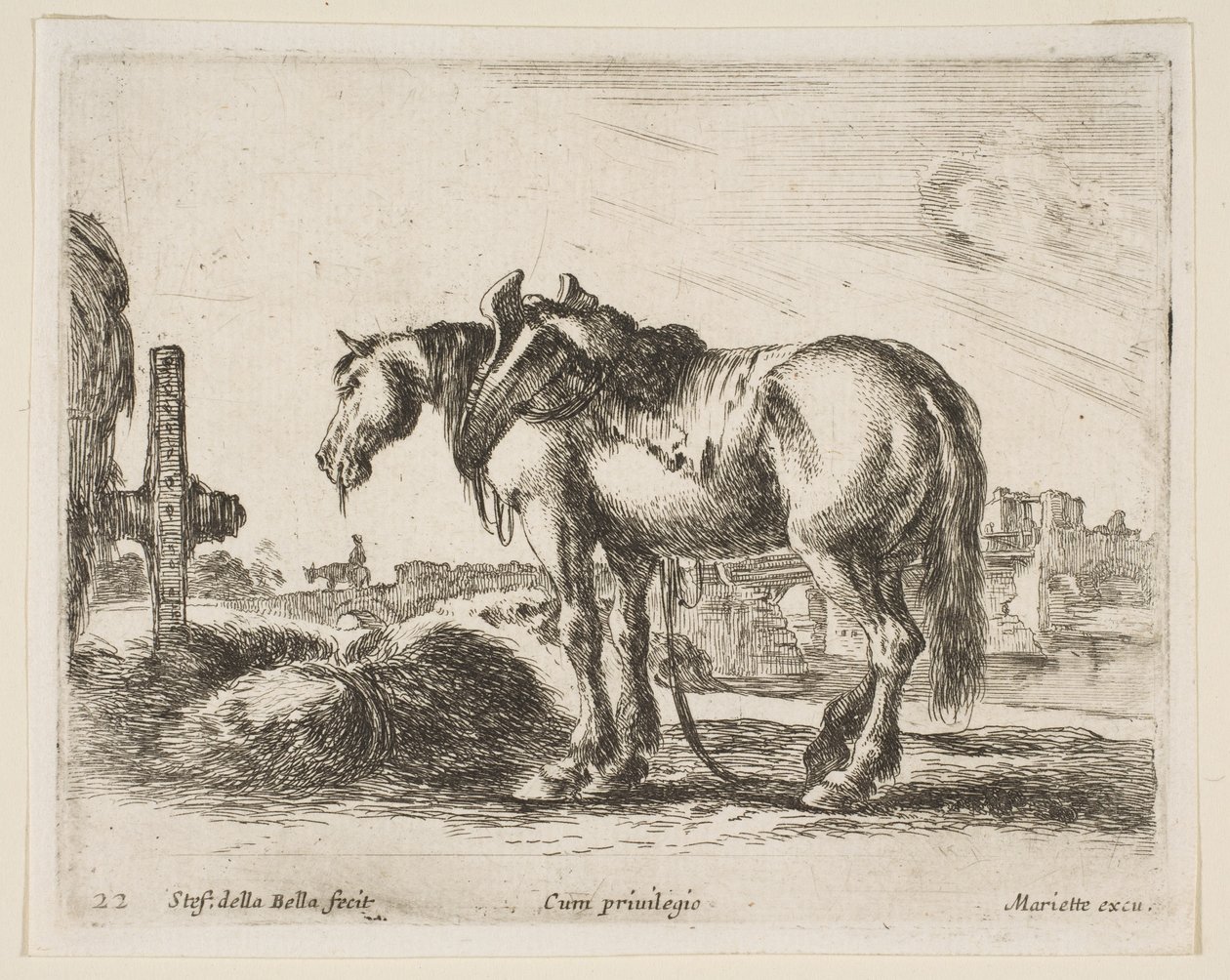 Tafel 22: Kaltblutpferd, aus Verschiedene Tiere Diversi animali, ca. 1641 von Stefano della Bella