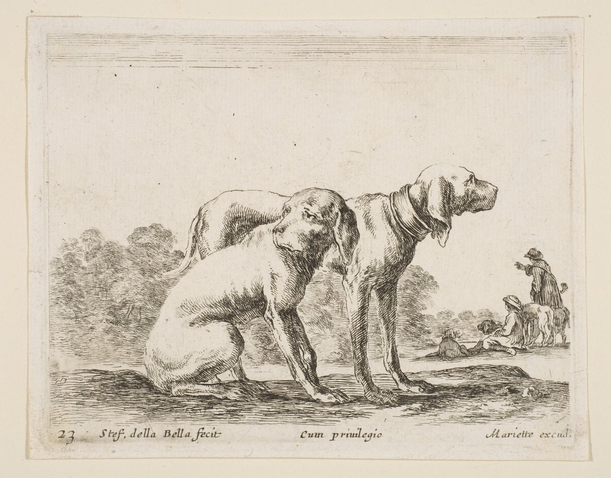 Tafel 23: zwei Hunde, aus Verschiedene Tiere Diversi animali, ca. 1641 von Stefano della Bella