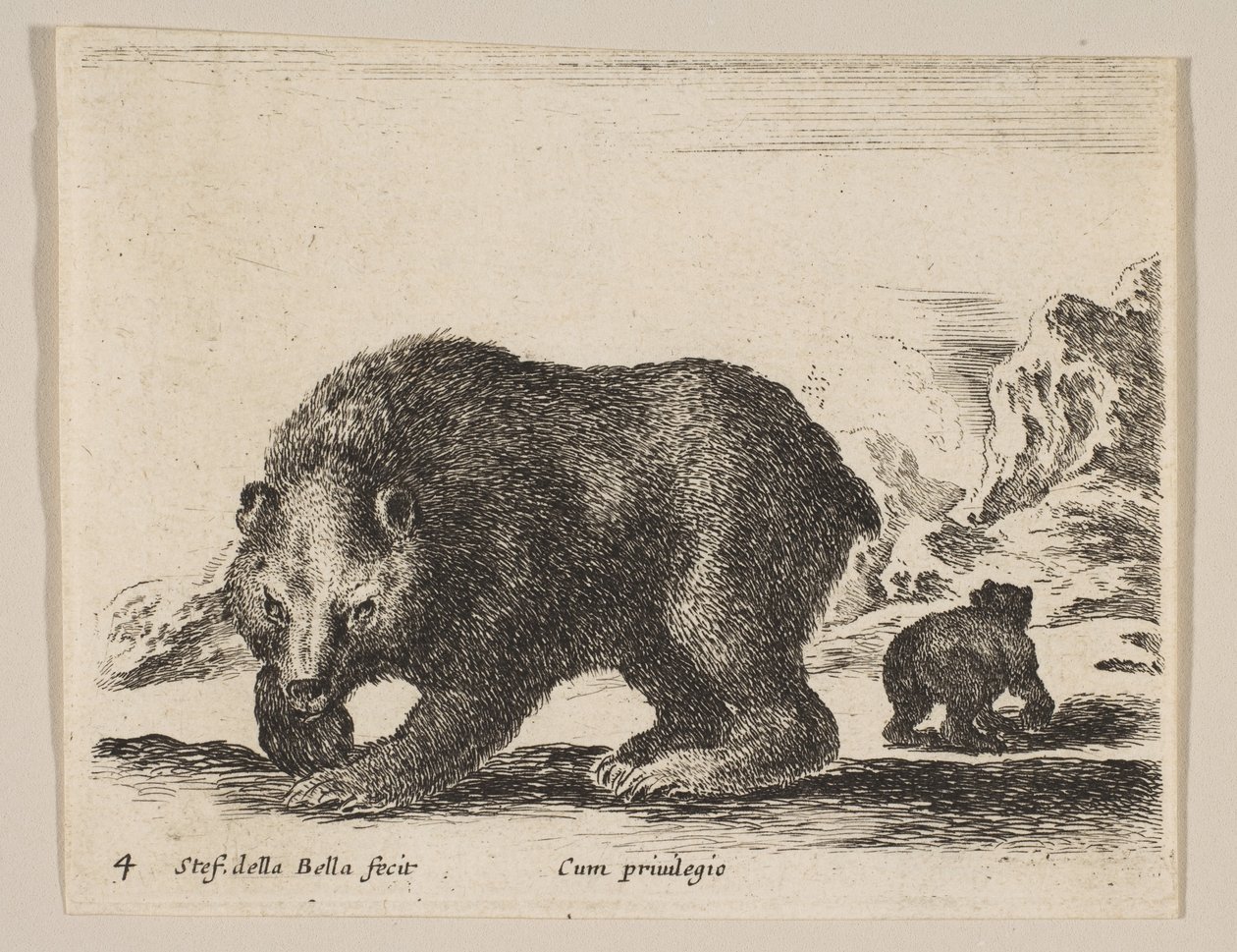Tafel 4: Bär, aus 
