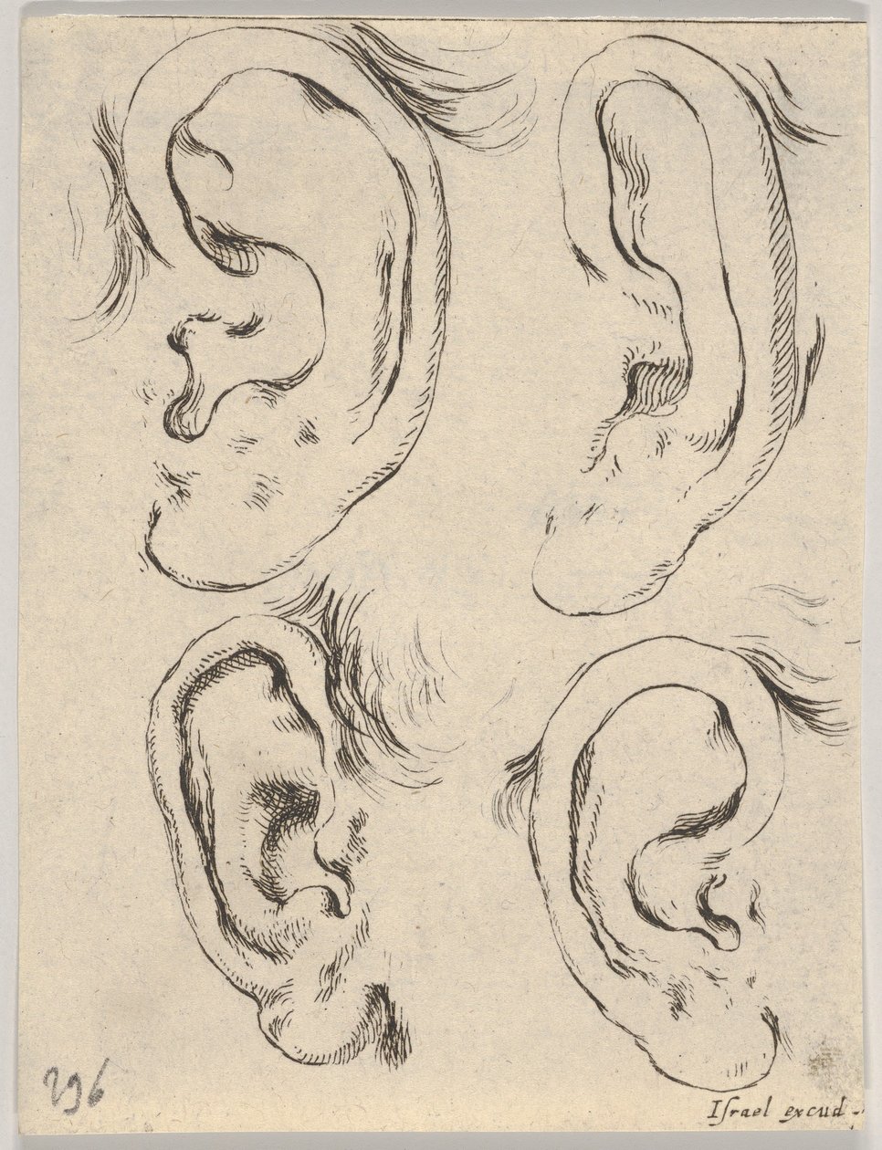 Platte 5: vier Ohren, aus Das Buch zum Zeichnen lernen Livre pour apprendre à dessiner..., ca. 1649 von Stefano della Bella