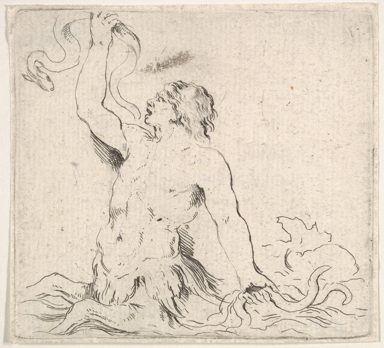 Tafel 7: ein Triton im Wasser, nach links gewandt, hält einen Aal in seiner rechten Hand hoch, ca. 1646 von Stefano della Bella