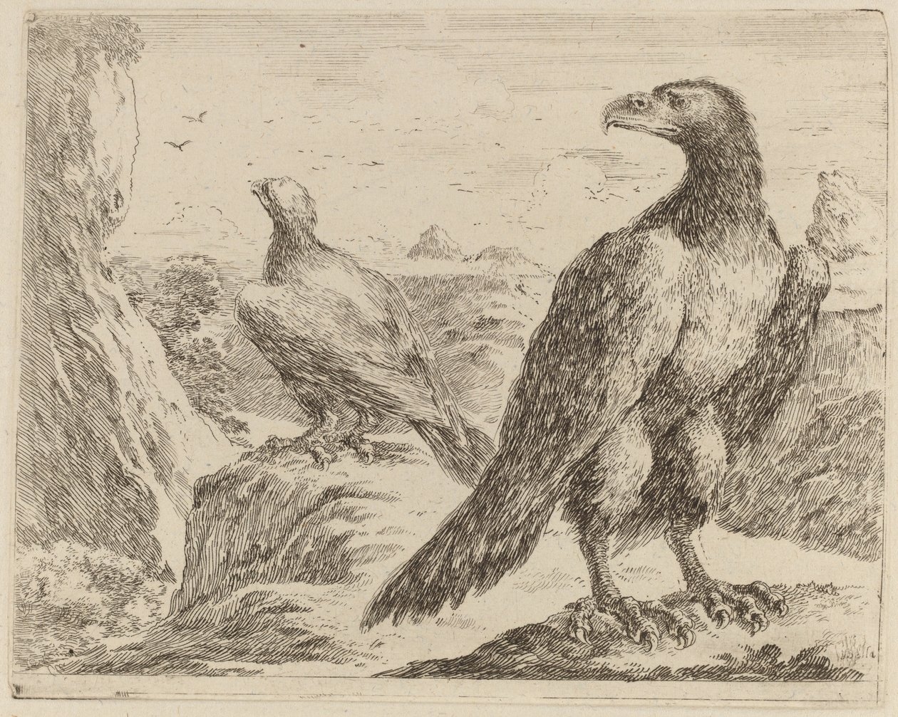Zwei Adler, beide mit nach links gedrehten Köpfen von Stefano della Bella