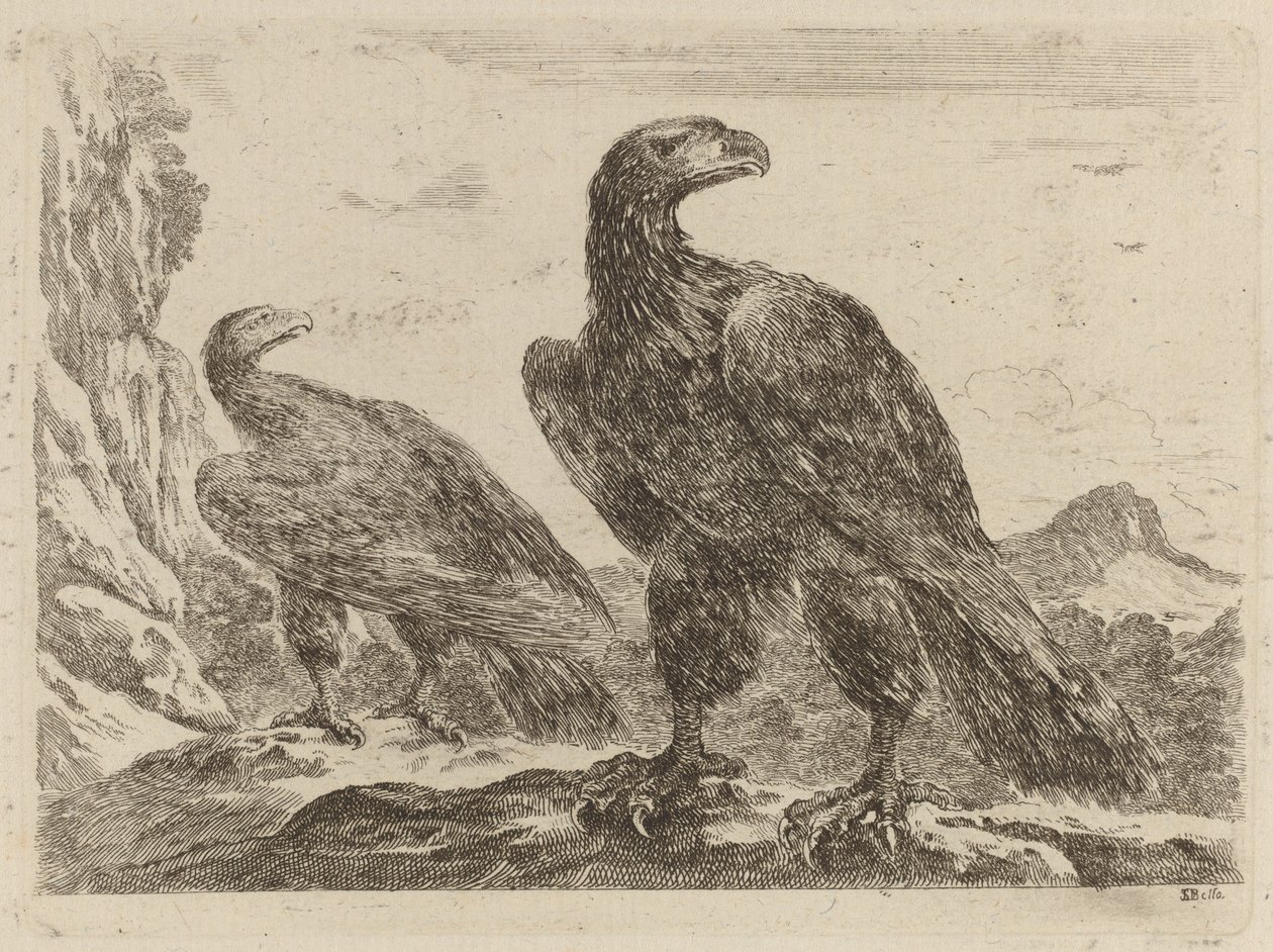 Zwei Adler, beide mit Köpfen nach rechts gedreht von Stefano della Bella