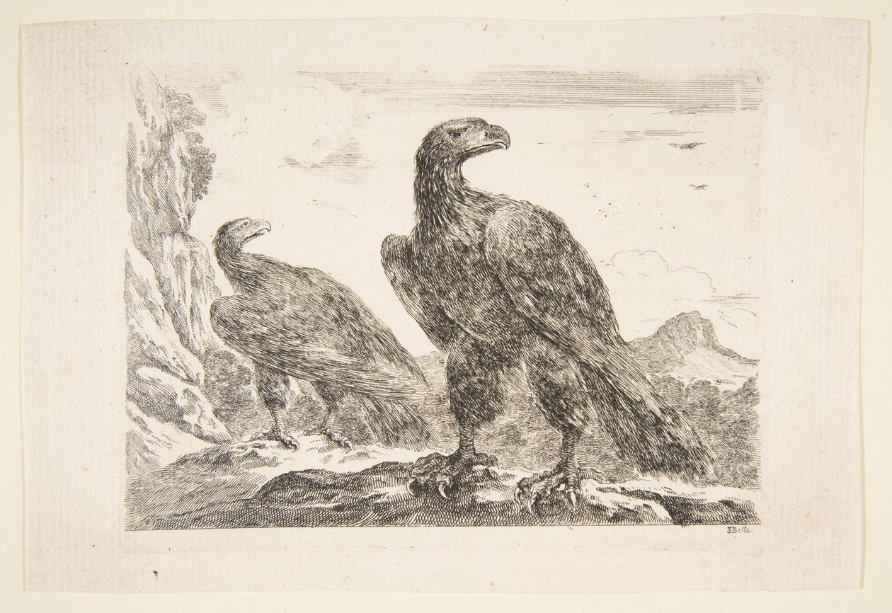 Zwei Adler, aus 