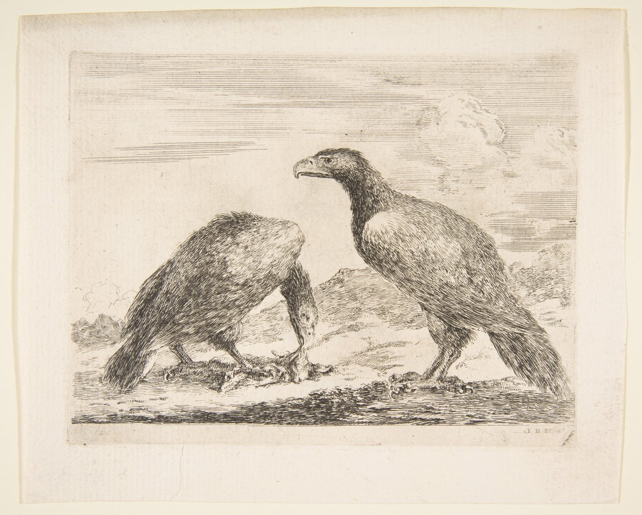 Zwei Adler, einer verschlingt ein Lamm, aus Adler Les aigles, ca. 1651 von Stefano della Bella