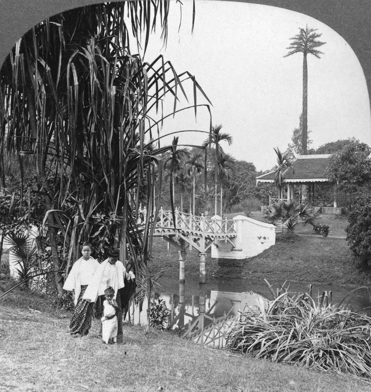 Ein Blick in die tropischen Gärten von Rangun, Burma, 1908 von Stereo Travel Co