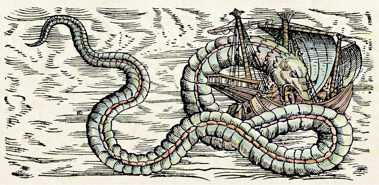 Seemonster, Illustration aus 