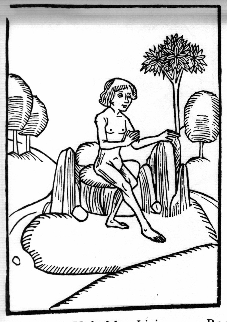 Die Legende von Saint Brendan (Brandan), Held und irischer Heiliger des 6. Jahrhunderts. Begegnung mit einem heiligen Einsiedler, der auf einem Felsen im offenen Meer lebt. Gravur aus „Die Wunderbare Meerfahrt des Hl. Brandan“. Bale von Swiss School