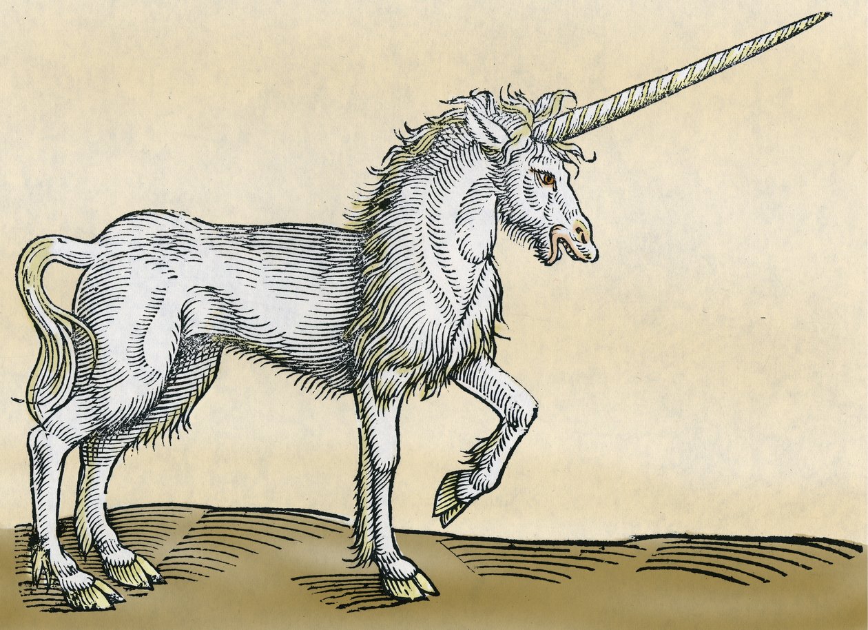 Einhorn, Illustration aus Historiae Animalium von Conrad Gesner, 1551 von Swiss School