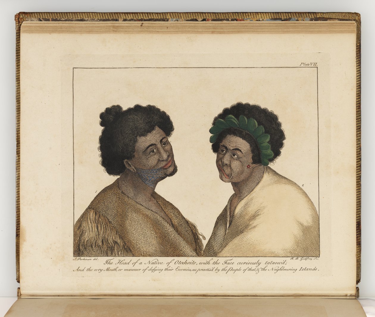 Der Kopf eines Eingeborenen von Otaheite, Illustration aus Ein Tagebuch einer Reise in die Südsee: in Seiner Majestät Schiff, der Endeavour, 1794 von Sydney