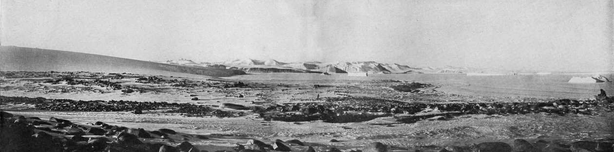 Ein Panorama von Cape Roberts Blick nach Norden, ca. 1911, 1913 von T. Griffith Taylor