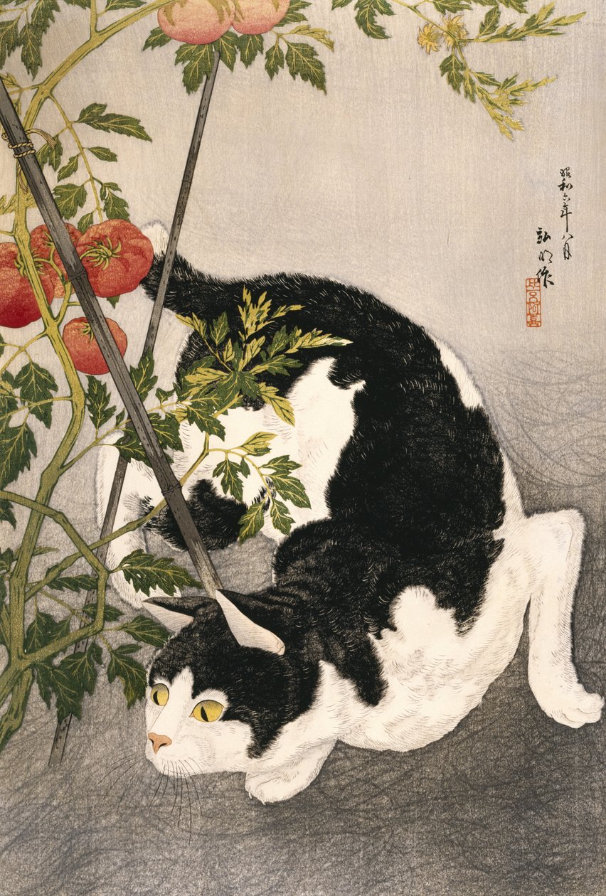 Katze schleicht um eine gestützte Tomatenpflanze, 1931 von Takahashi Hiroaki