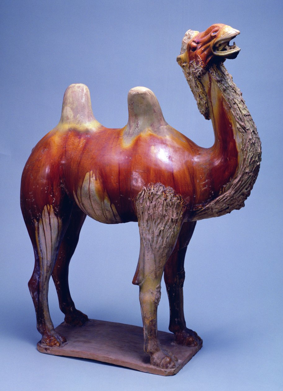 Kamel, Tang-Dynastie von Tang Dynasty Chinese School