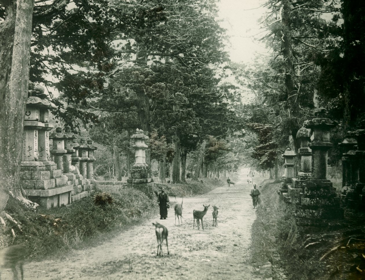 Kasauga Taisha Park in Nara, um 1900 - 1915 von Teijiro Takagi