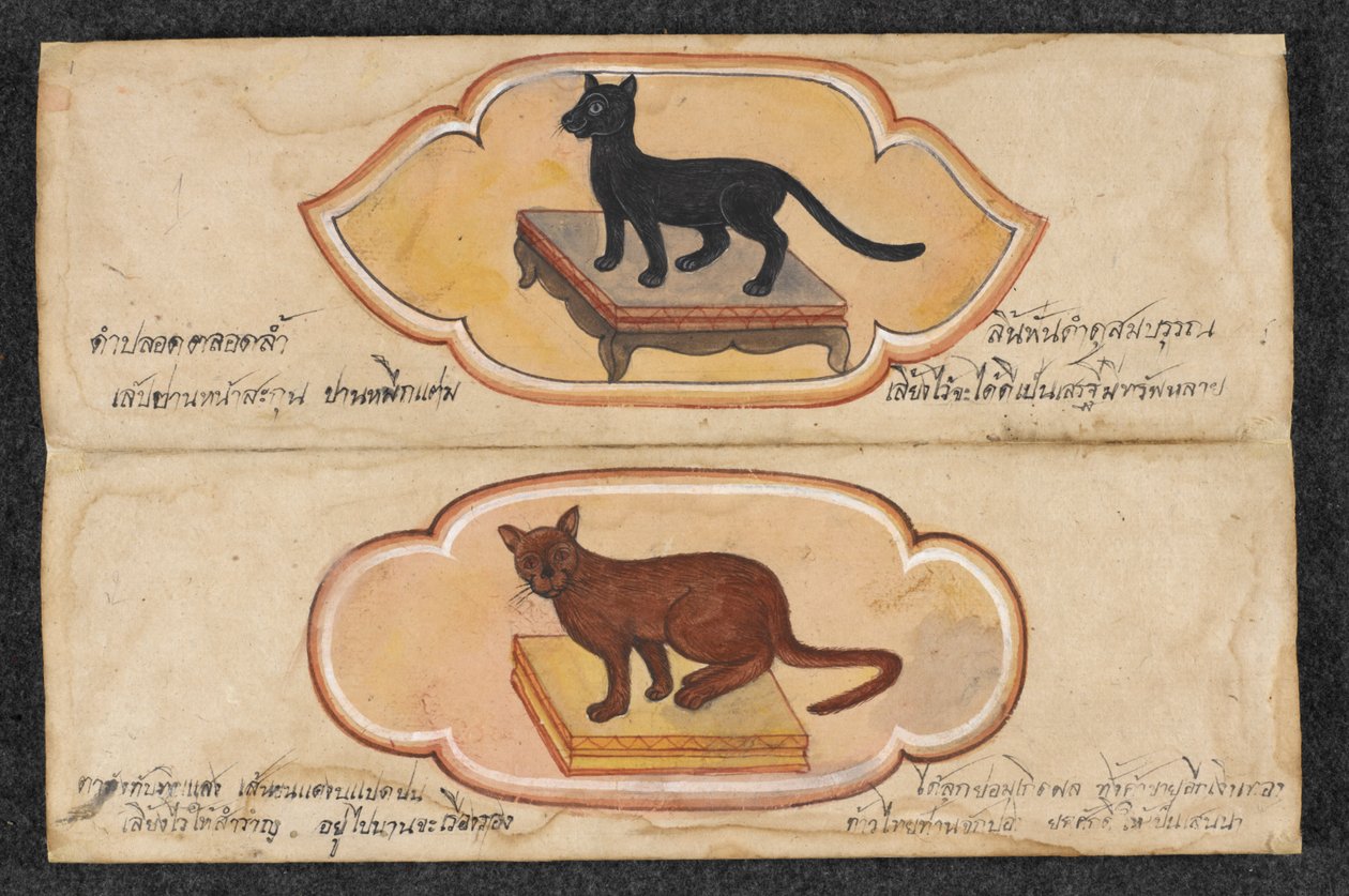 Siamkatzen, Fol. 1: zwei Glückskatzen zur Unterstützung von Geschäft und Wohlstand, Or. 16797, f.1 von Thai School