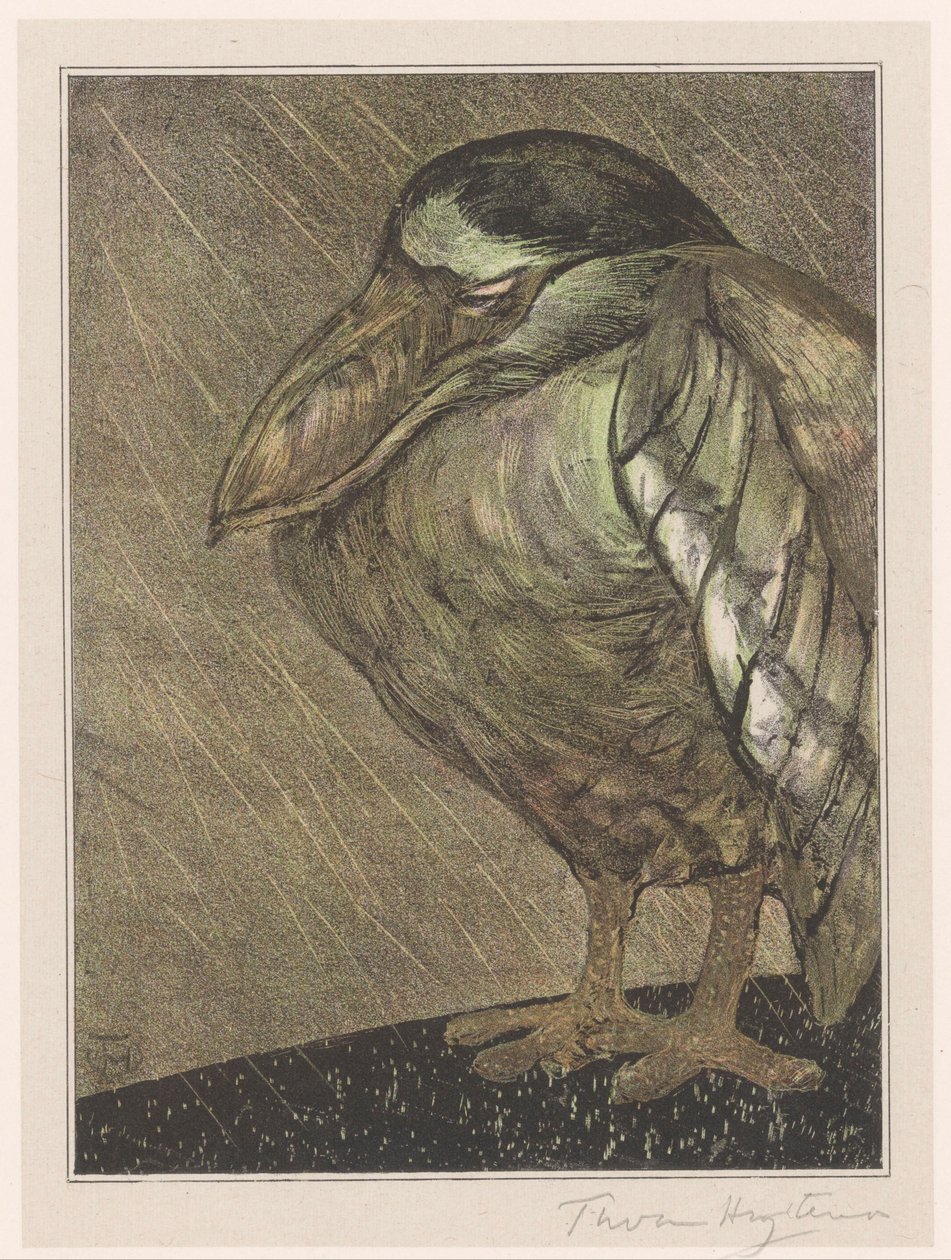 Nachtreiher im Regen von Theo van Hoytema (signed by artist)