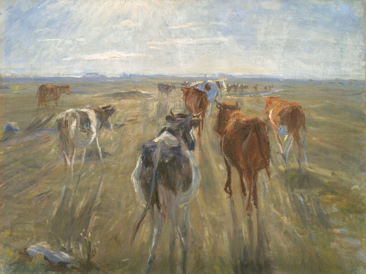 Lange Schatten. Rinder auf der Insel Saltholm von Theodor Philipsen