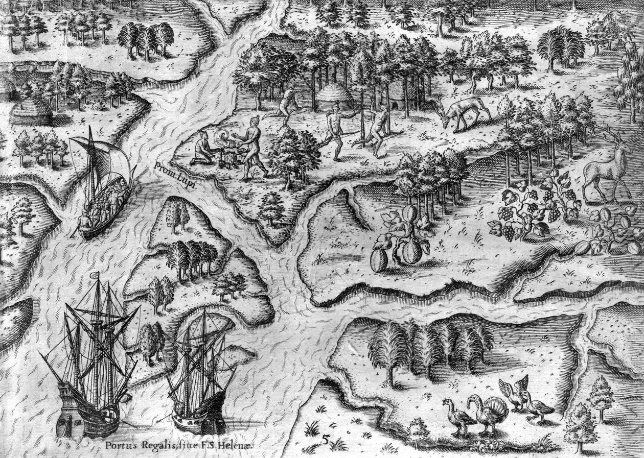 Die französische Expedition landet in Port Royal, Florida von Theodor de Bry