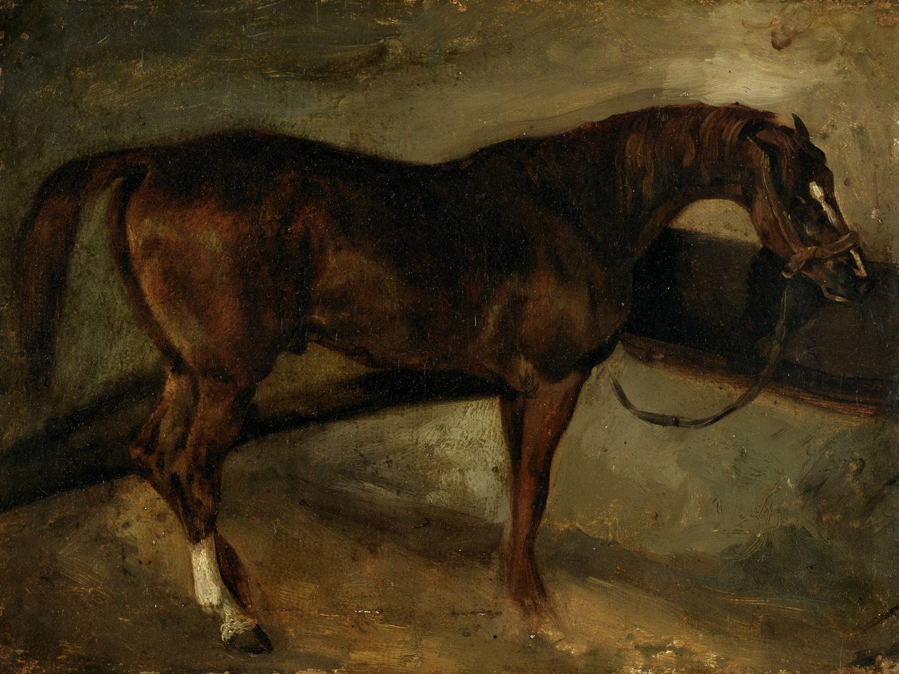 Braunes Pferd von Theodore Gericault