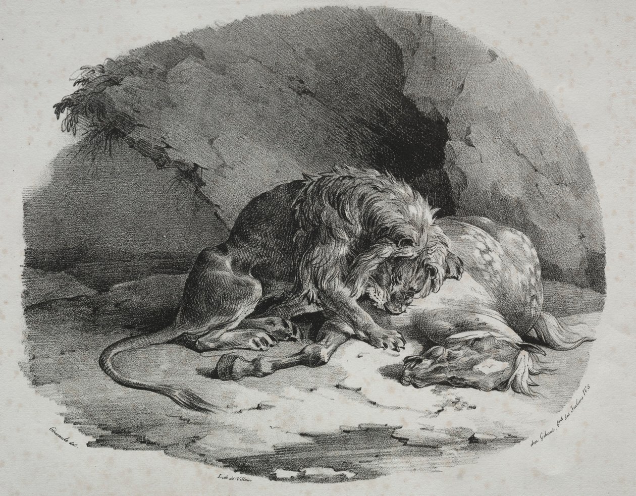 Pferd von einem Löwen verschlungen, 1823 von Theodore Gericault