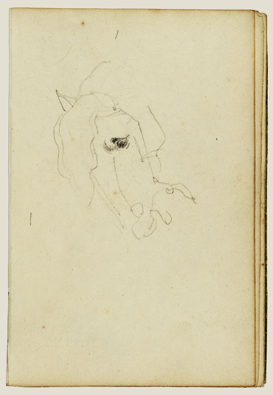 Pferdekopf von Theodore Gericault