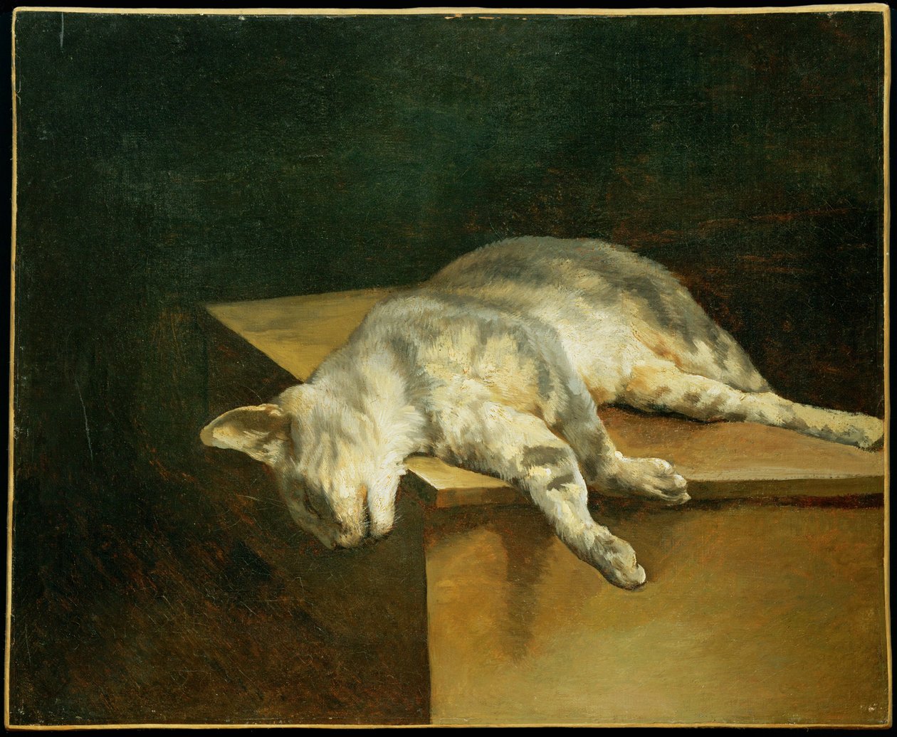 Die tote Katze von Theodore Gericault