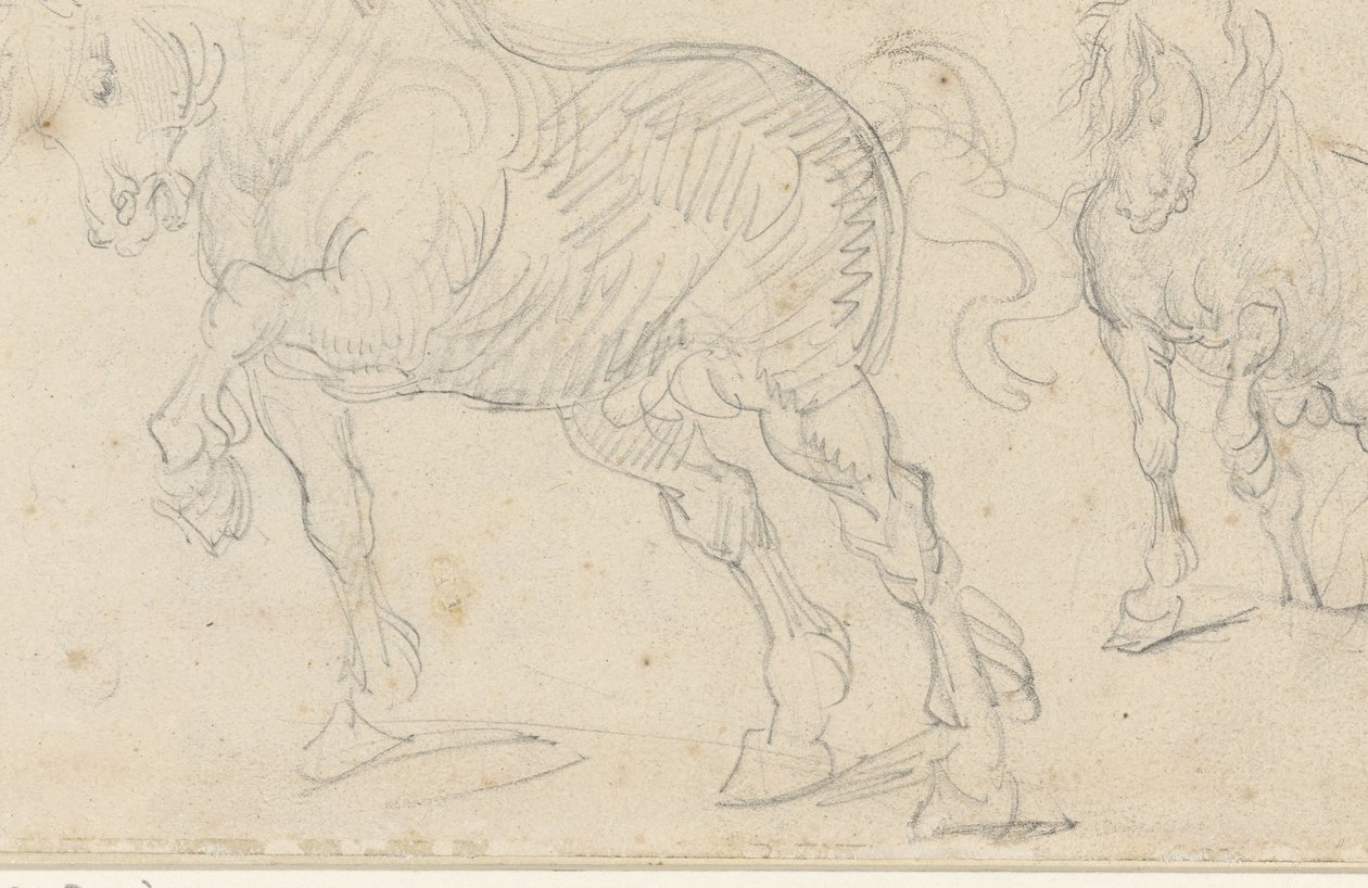 Pferdestudien von Theodore Gericault