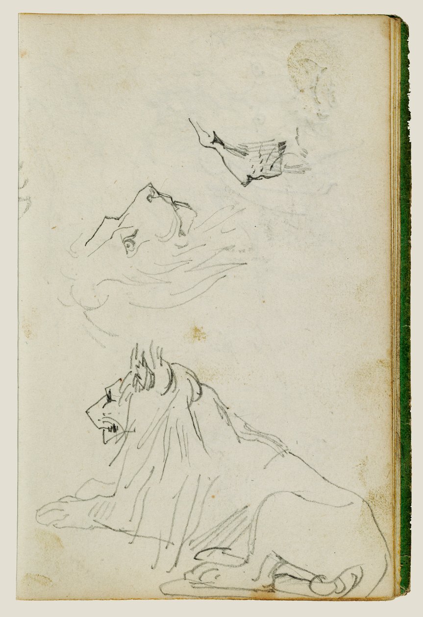 Sitzender Löwe, zwei Löwenkopfstudien von Theodore Gericault