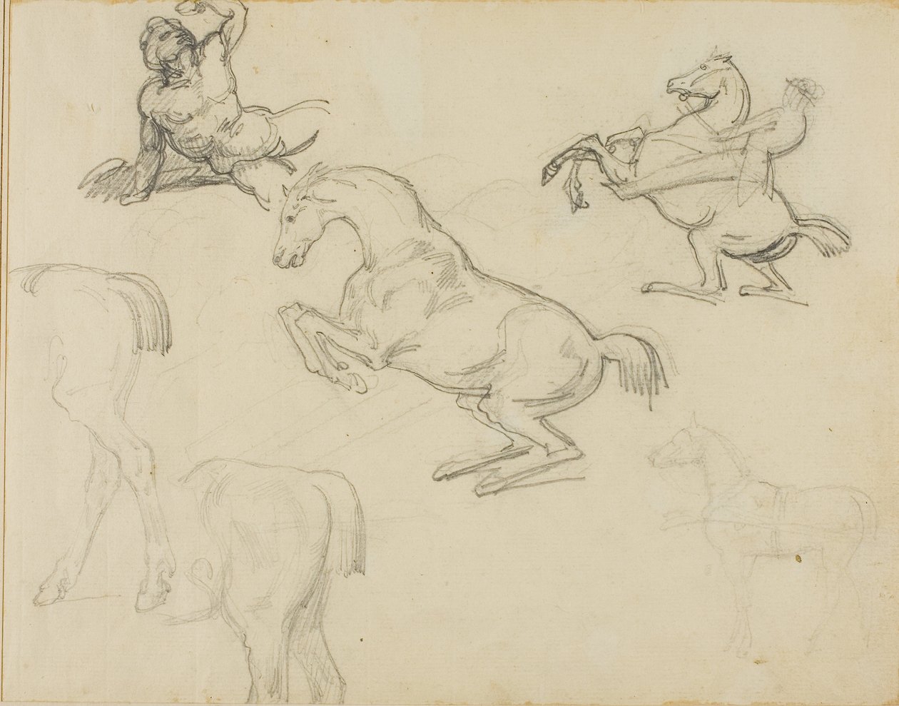 Skizzen: Liegender Akt, ein Reiter und verschiedene Pferde von Theodore Gericault