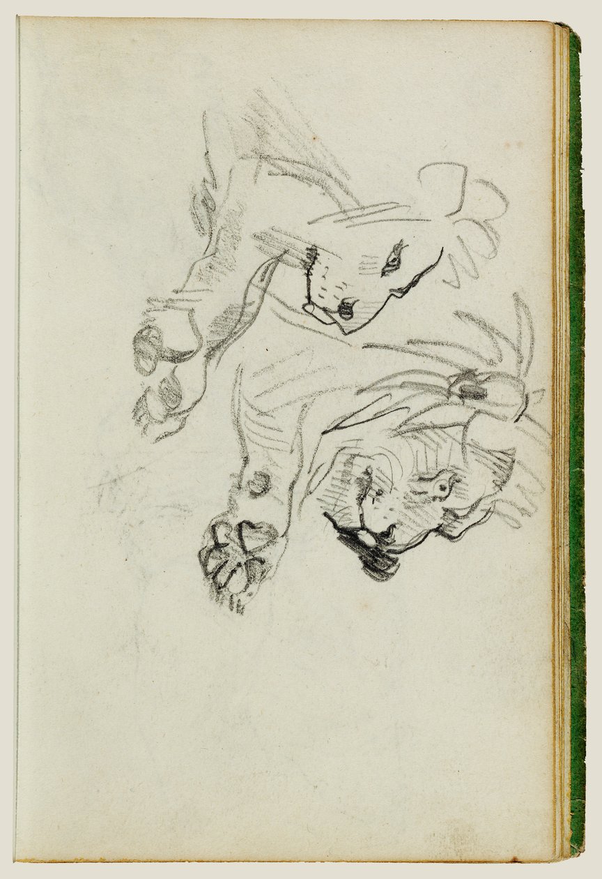 Zwei Löwenstudien von Theodore Gericault