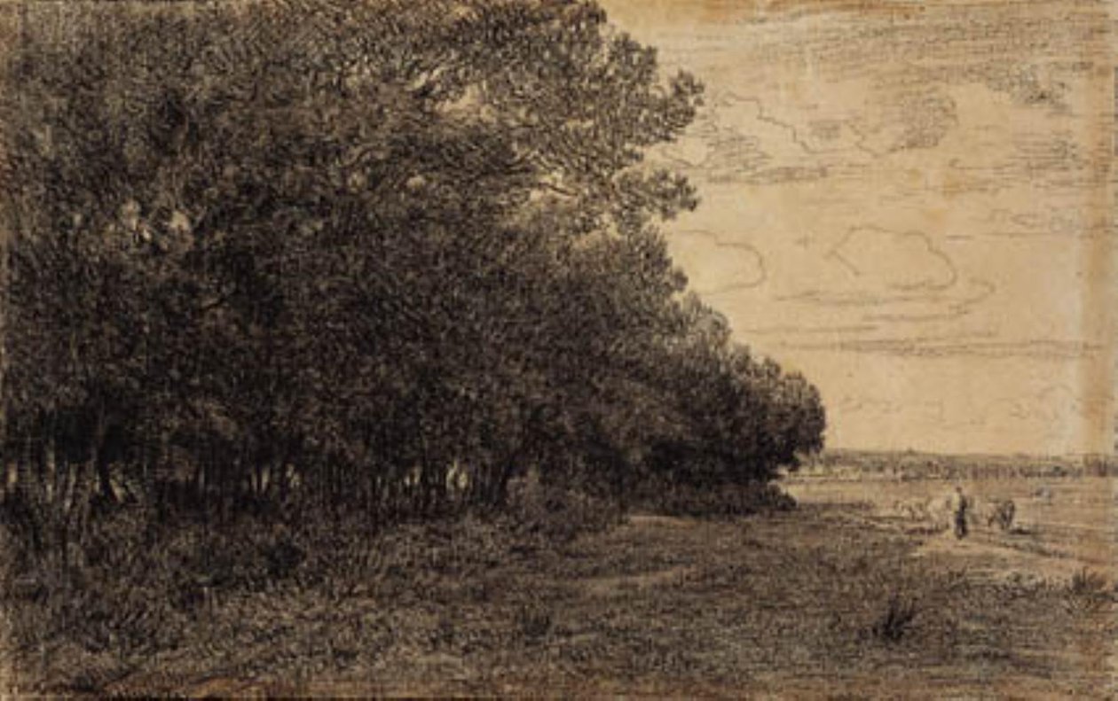 Eine kleine Gruppe hoher Bäume am Macherin-Wald von Theodore Rousseau