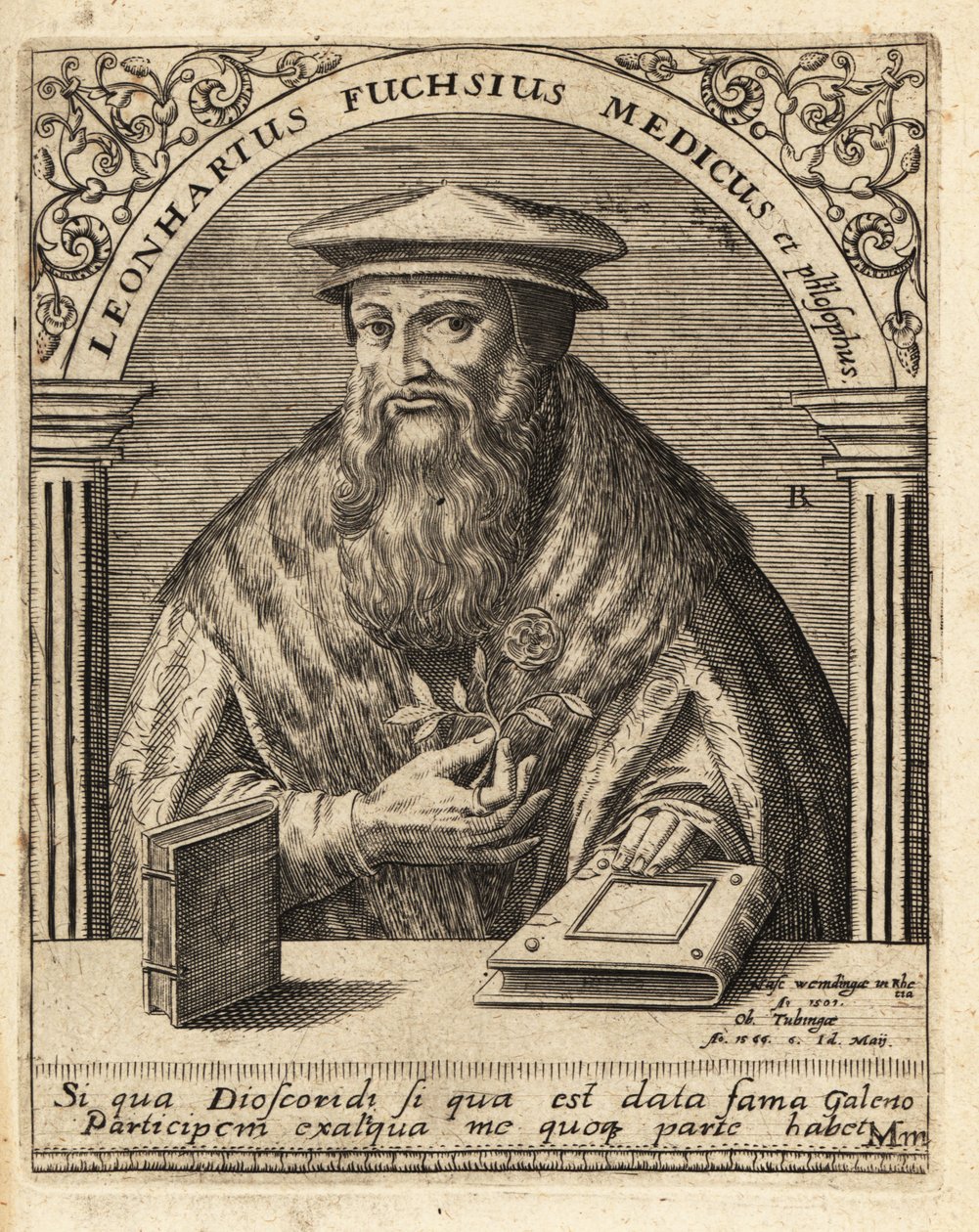 Leonhart Fuchs, deutscher Arzt und Botaniker 1501-1566 von Theodore de Bry