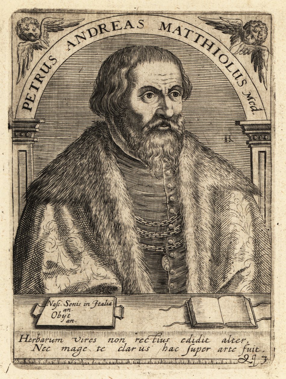 Pietro Andrea Gregorio Mattioli, italienischer Arzt von Theodore de Bry