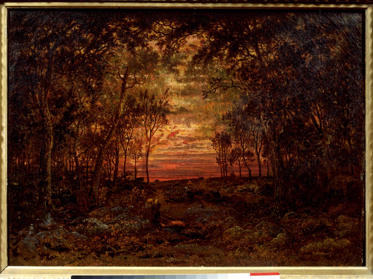 Sonnenuntergang im Wald von Pierre Etienne Theodore Rousseau