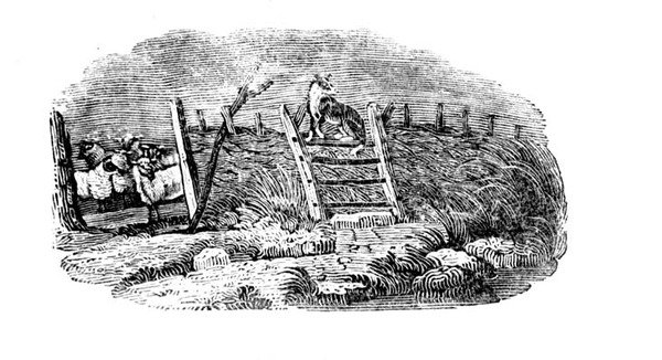Ein Schäferhund und Schafstall aus Geschichte der britischen Vögel und Säugetiere von Thomas Bewick